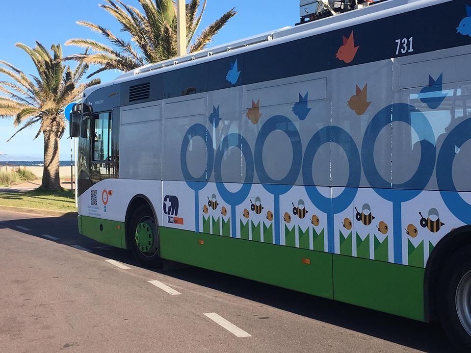 Da giugno in pullman da Quartu verso il mare lungo 26 km di costa: il percorso