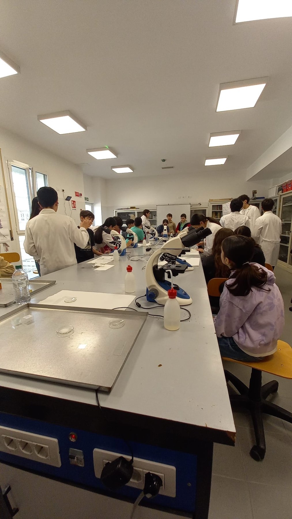 Laboratori di primavera