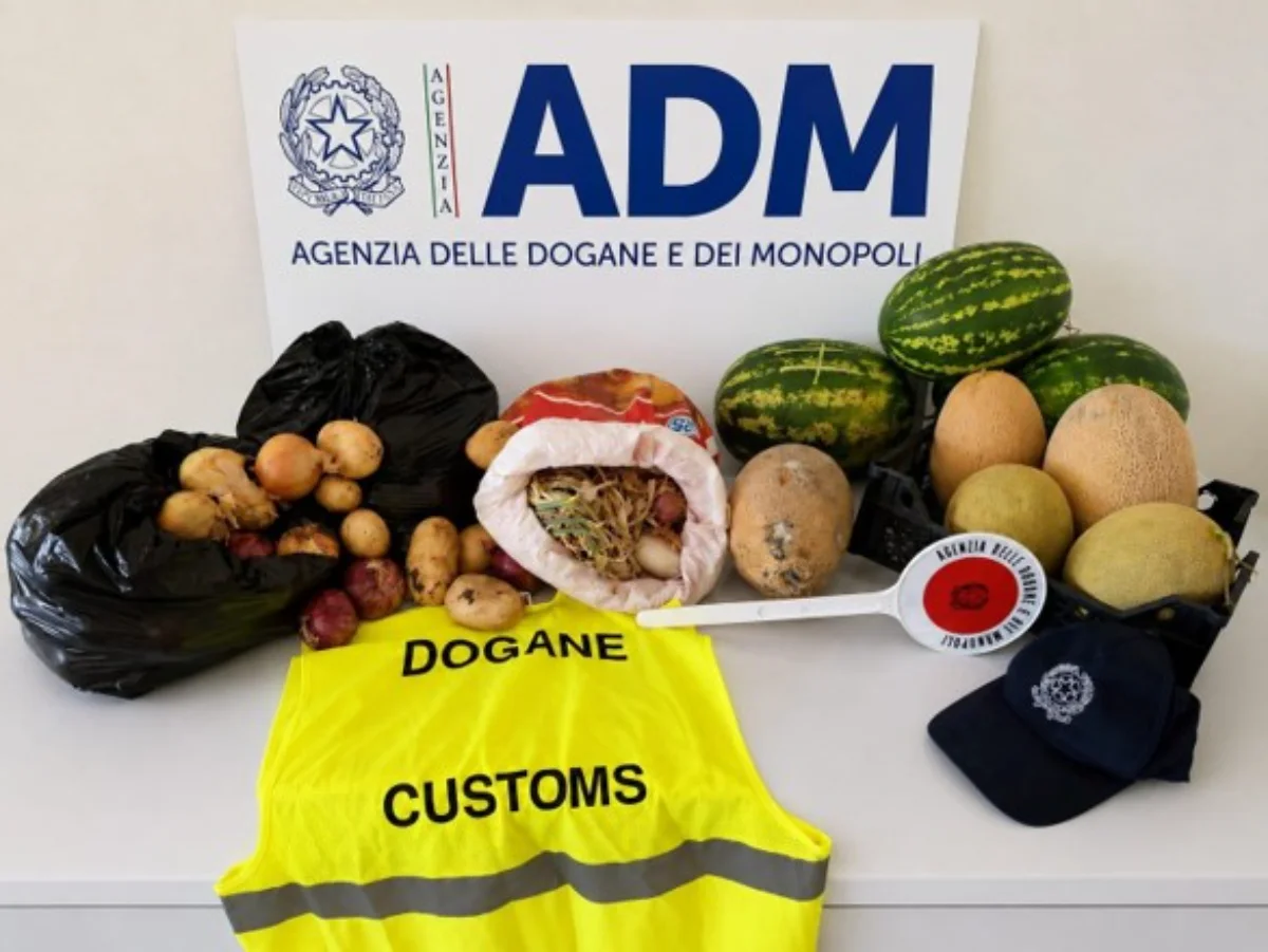 Sequestrati 60 kg di frutta e verdura senza certificazione: blitz antifrode a Porto Torres