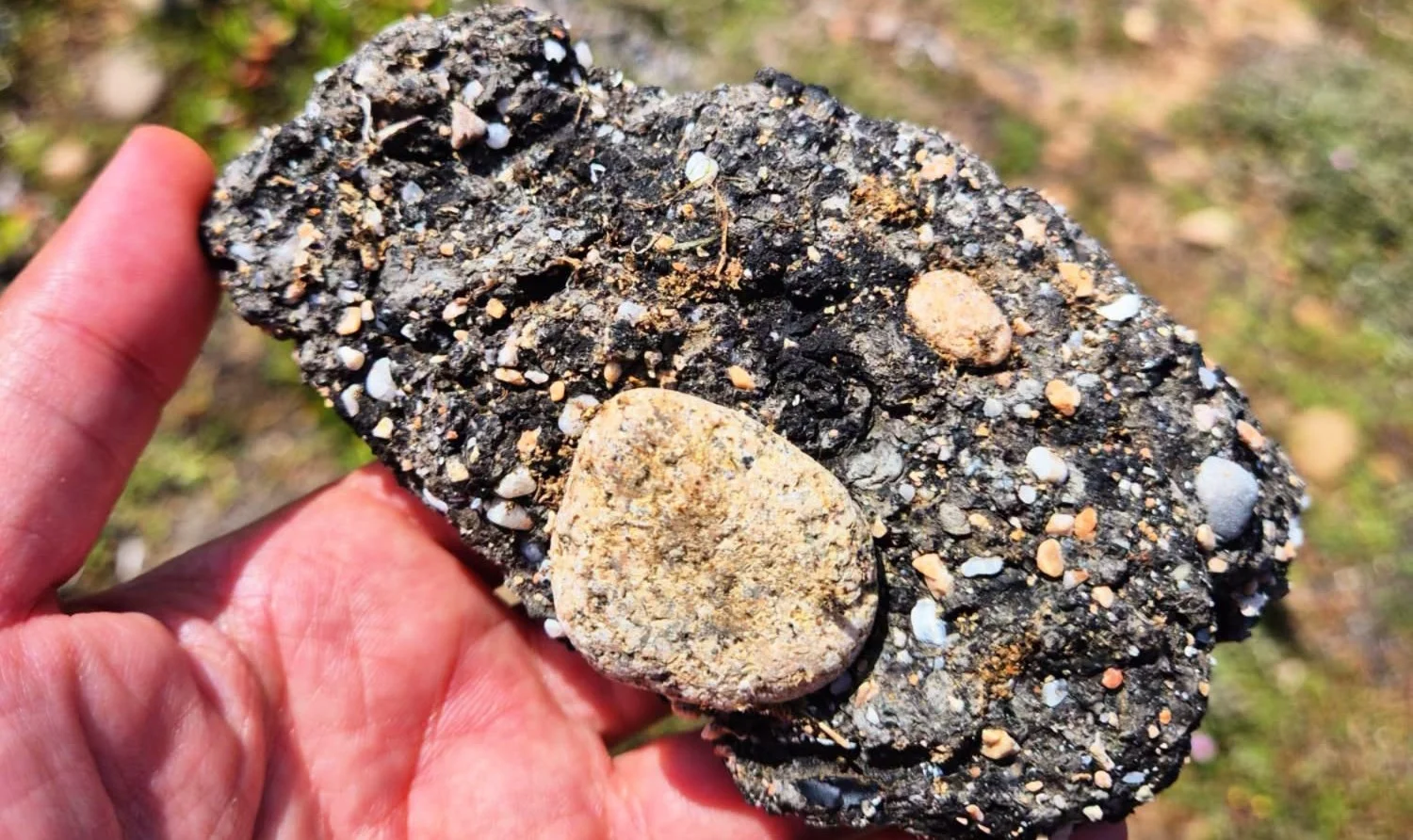 Sulle spiagge sarde nasce una nuova roccia, ma (purtroppo) è fatta di plastica e catrame: ecco di che si tratta