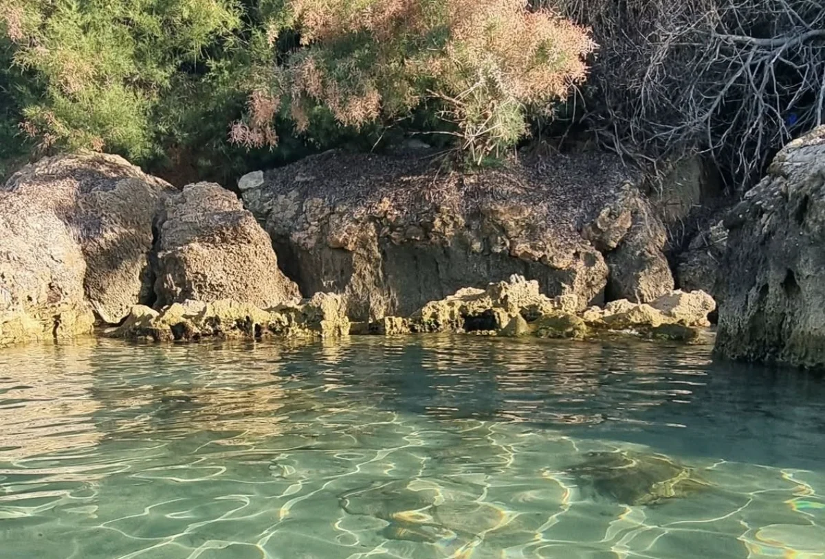 Quiz per cagliaritani doc: in quale angolo paradisiaco della nostra città ci troviamo?