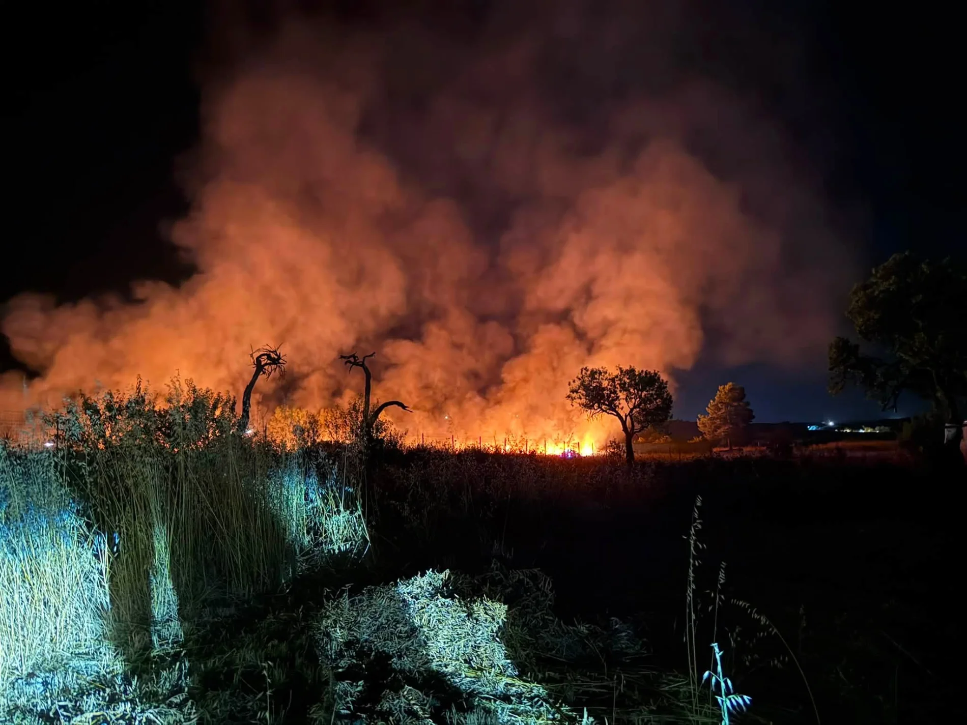 Inferno di fuoco a Maracalagonis: «Le fiamme hanno messo a dura prova il nostro territorio», parla la sindaca