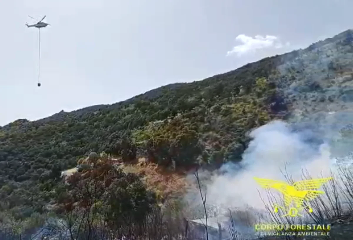 Ancora incendi in Sardegna, emergenza tra Olzai, Burgos e Florinas: Canadair ed elicotteri in azione