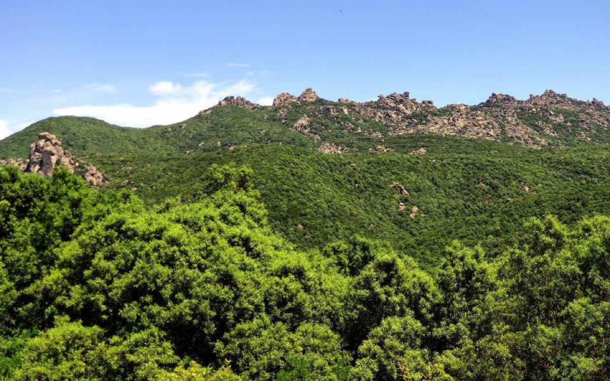 Ore di angoscia nella foresta dei Sette Fratelli: pattuglia della Stazione forestale di Sinnai trae in salvo due escursionisti dispersi in un’area impervia
