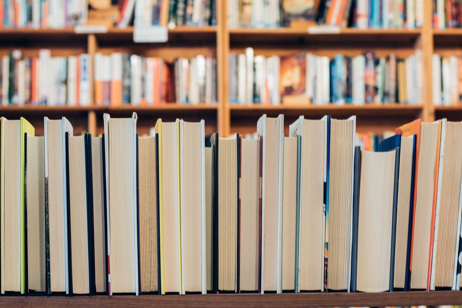 Approvato l’elenco di cartolibrerie e librerie accreditate per l'erogazione delle cedole librarie on line