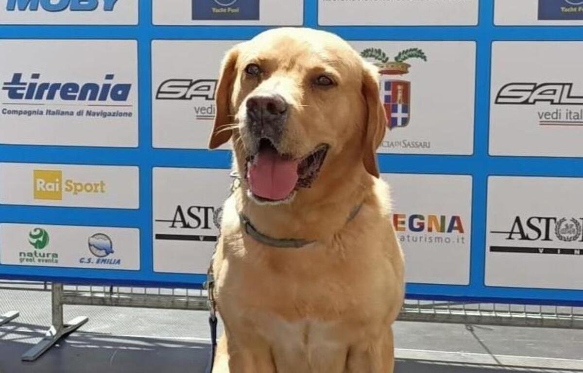 Il saluto della Polizia di Stato al cane antiesplosivo Aaron