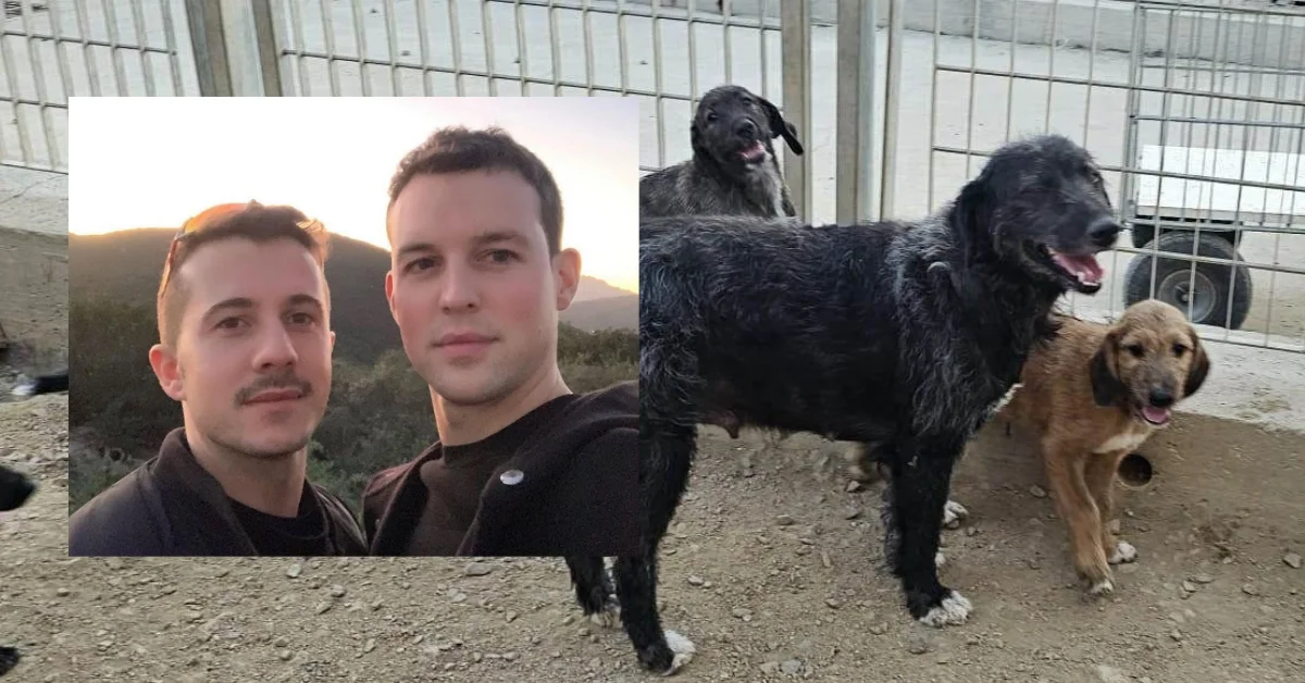 Un dono da 200mila euro al canile di Olbia: Brendan e Salvatore destinano la lista nozze alla beneficenza