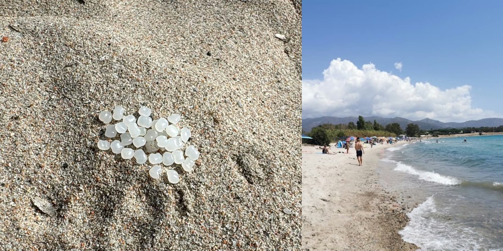 Quartu, dopo il Poetto trovati granuli di plastica a Marina Residence