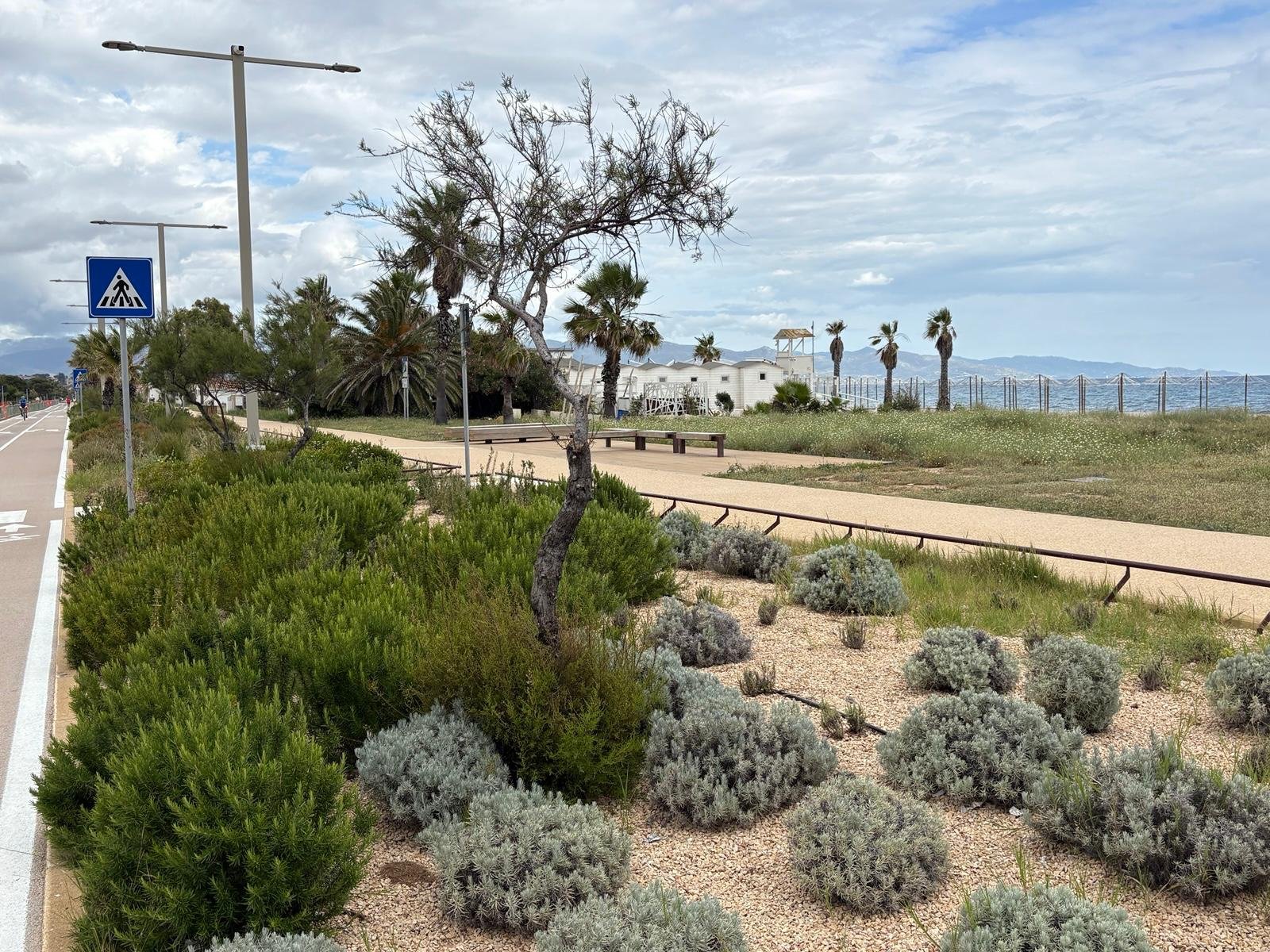 Nuova linfa per il Verde pubblico di Quartu, un patrimonio sempre più determinante per il futuro urbano