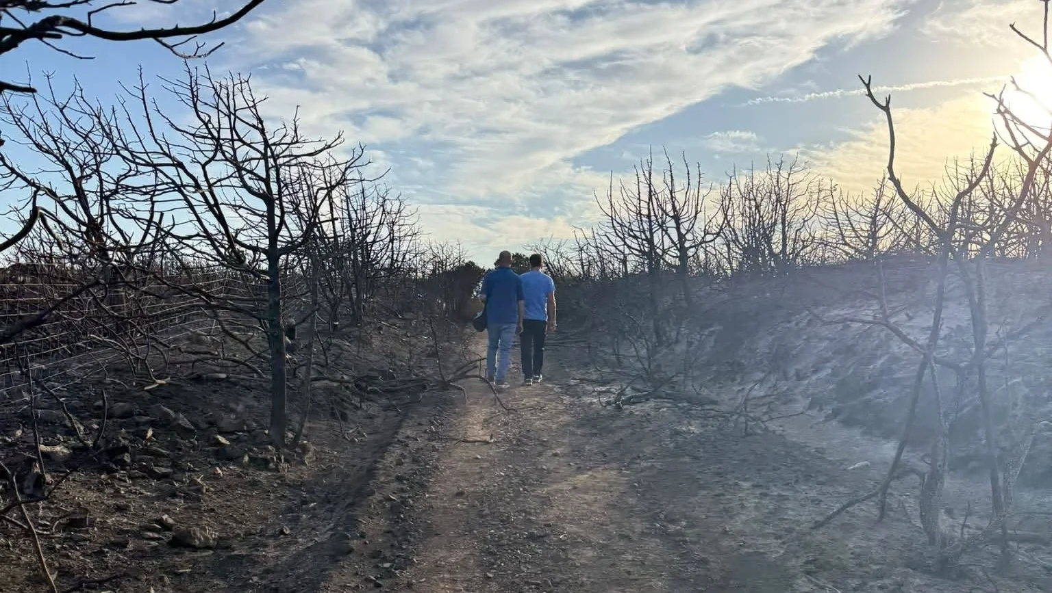 Incendio a La Maddalena, commercianti e giovani uniti per i soccorritori: “Nessuno ha voluto un euro per i pasti”