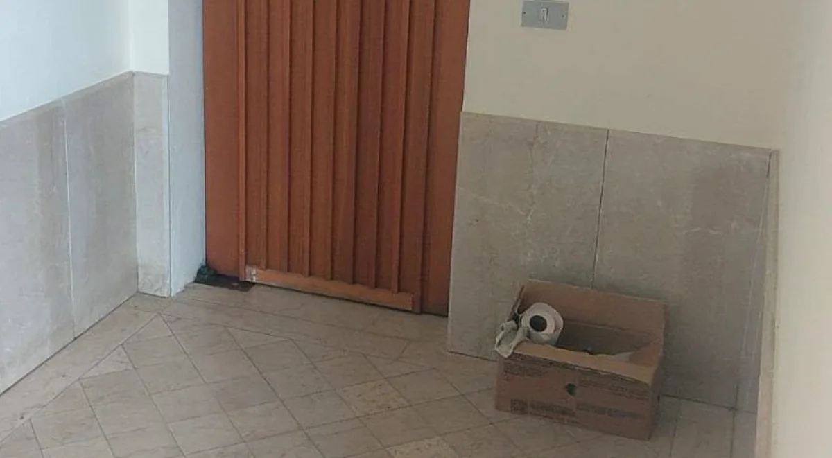 Olbia. In chiesa si celebra un battesimo: fuori vengono abbandonati due gattini appena nati, uno è morto