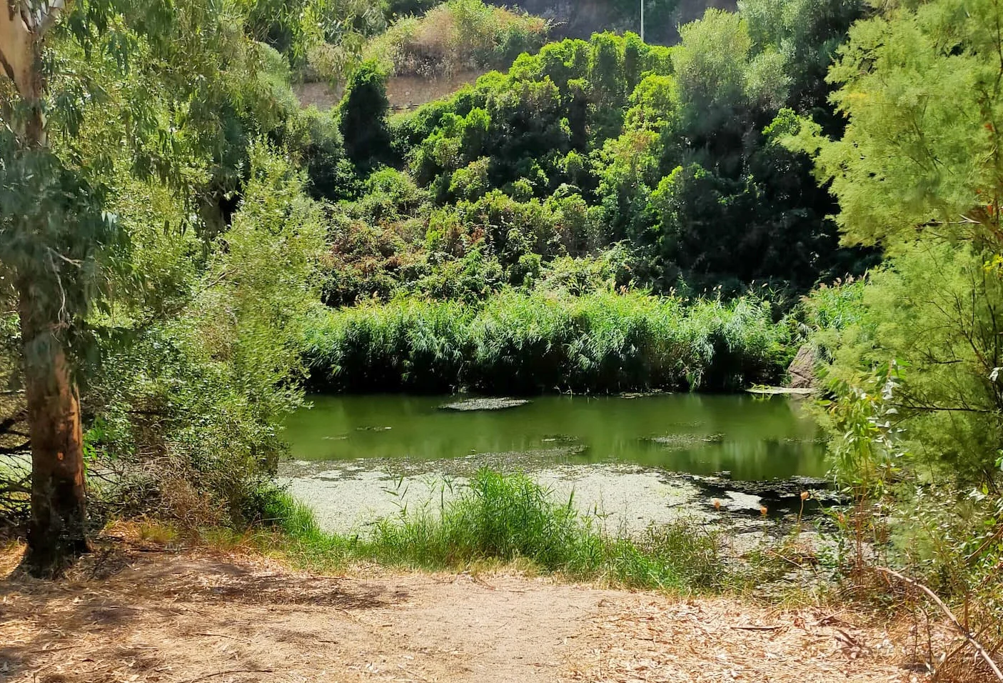 Non solo Sardara o Fordongianus: alla scoperta delle Terme di Casteldoria, dove l’acqua calda sgorga dal fiume