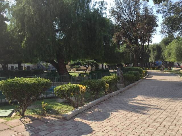 Approvato il nuovo piano triennale per la gestione di parchi e giardini, per una Quartu sempre più Green