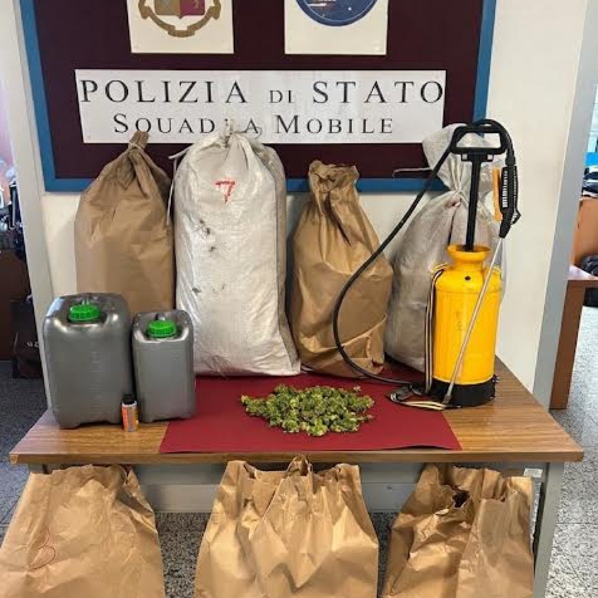 Oristano: quasi dieci chilogrammi di marijuana nascosti in una baracca. Altra droga pronta allo spaccio trovata in casa: la Polizia di Stato denuncia un uomo