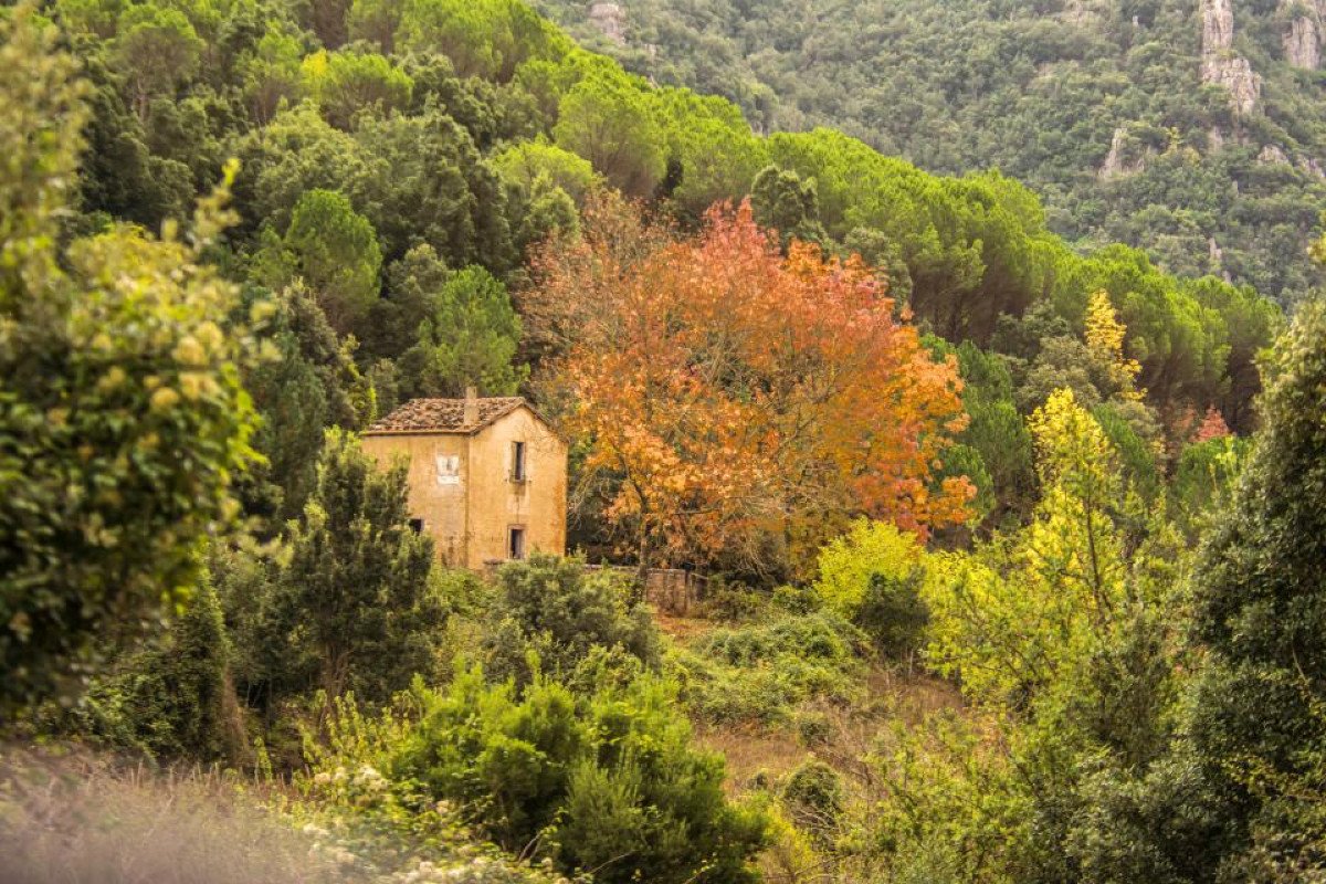 Radici latine e tratti iberici: il viaggio etimologico dell’autunno nella lingua e nella tradizione sarda