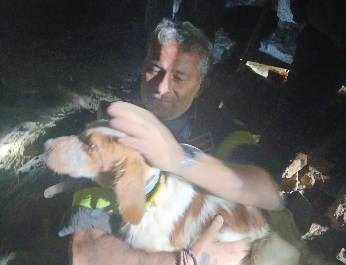 Cane intrappolato a sei metri di profondità: complesso intervento dei Vigili del Fuoco di Nuoro, salvato dopo ore di lavoro