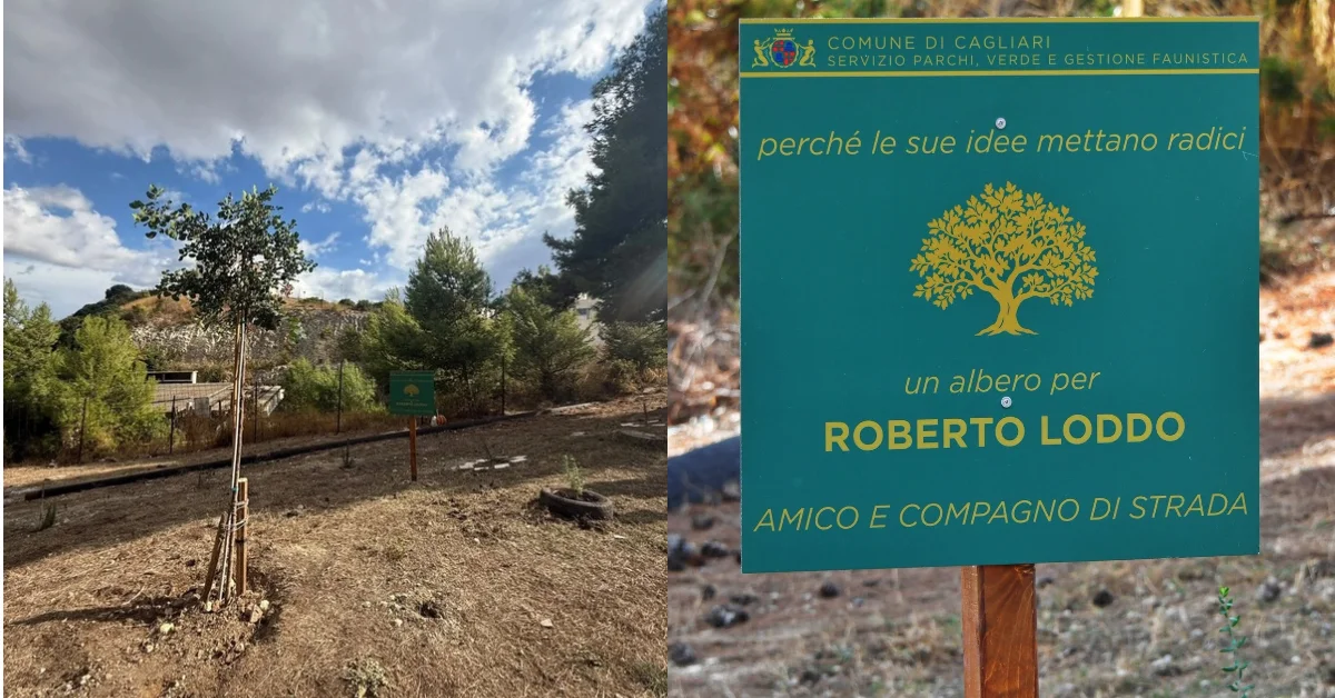 Cagliari, un albero per Roberto Loddo: in via Castelli nasce un giardino nel segno della memoria